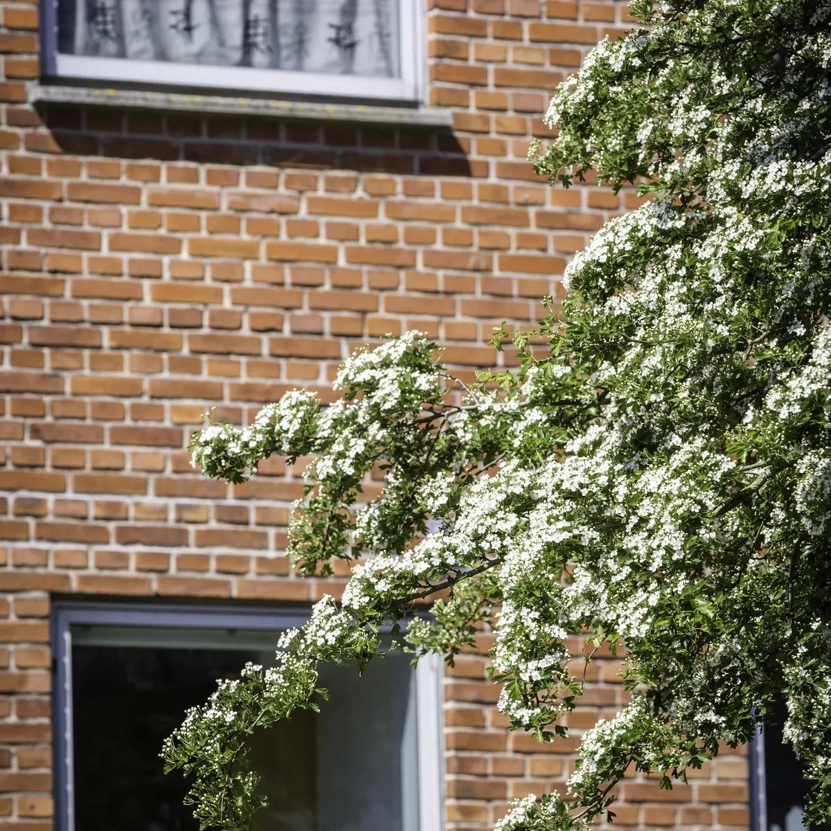 3-room apartment, 72 m² - Holstebro