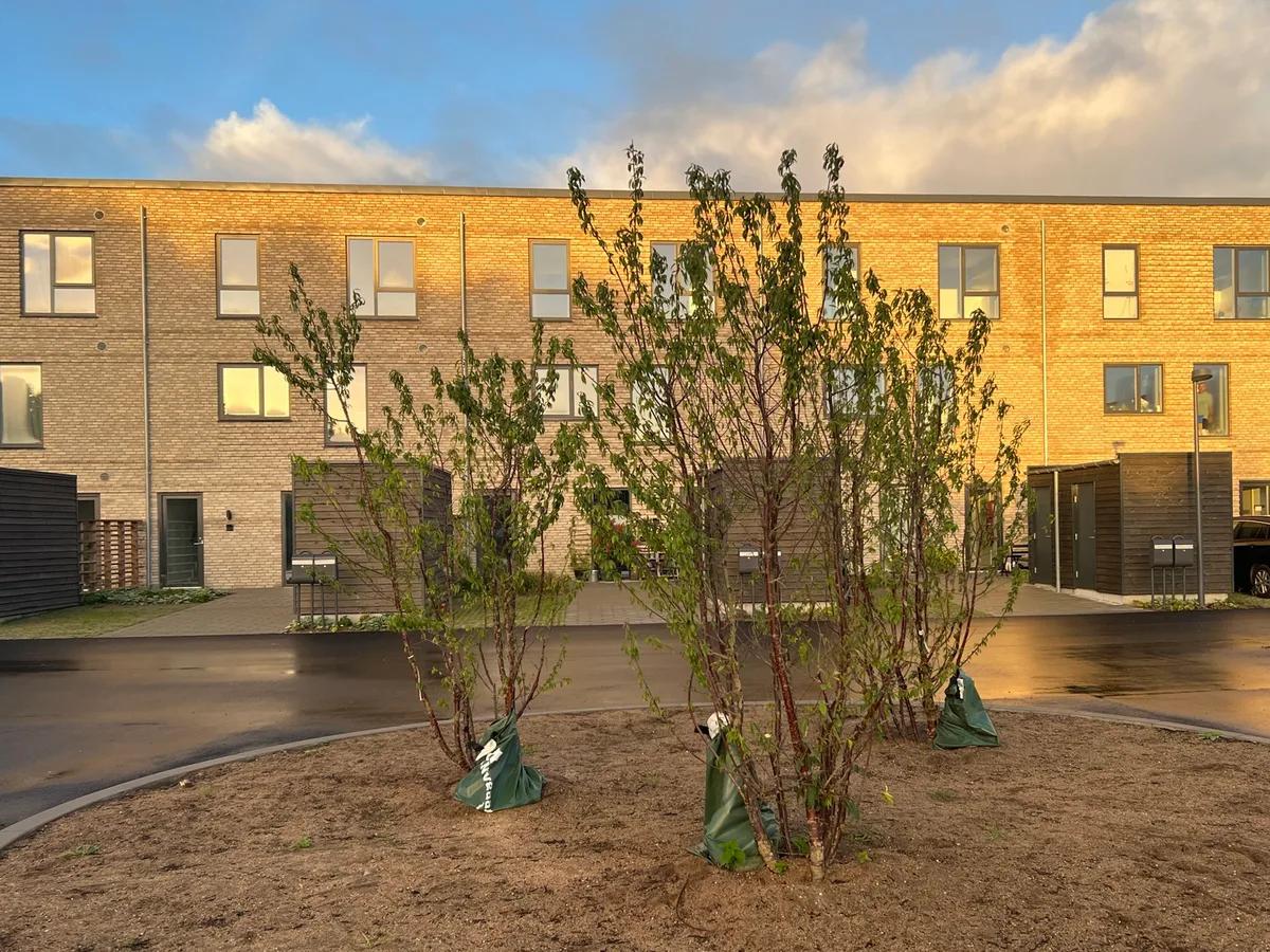 3-vær. lejlighed på 83 m² - Nivå