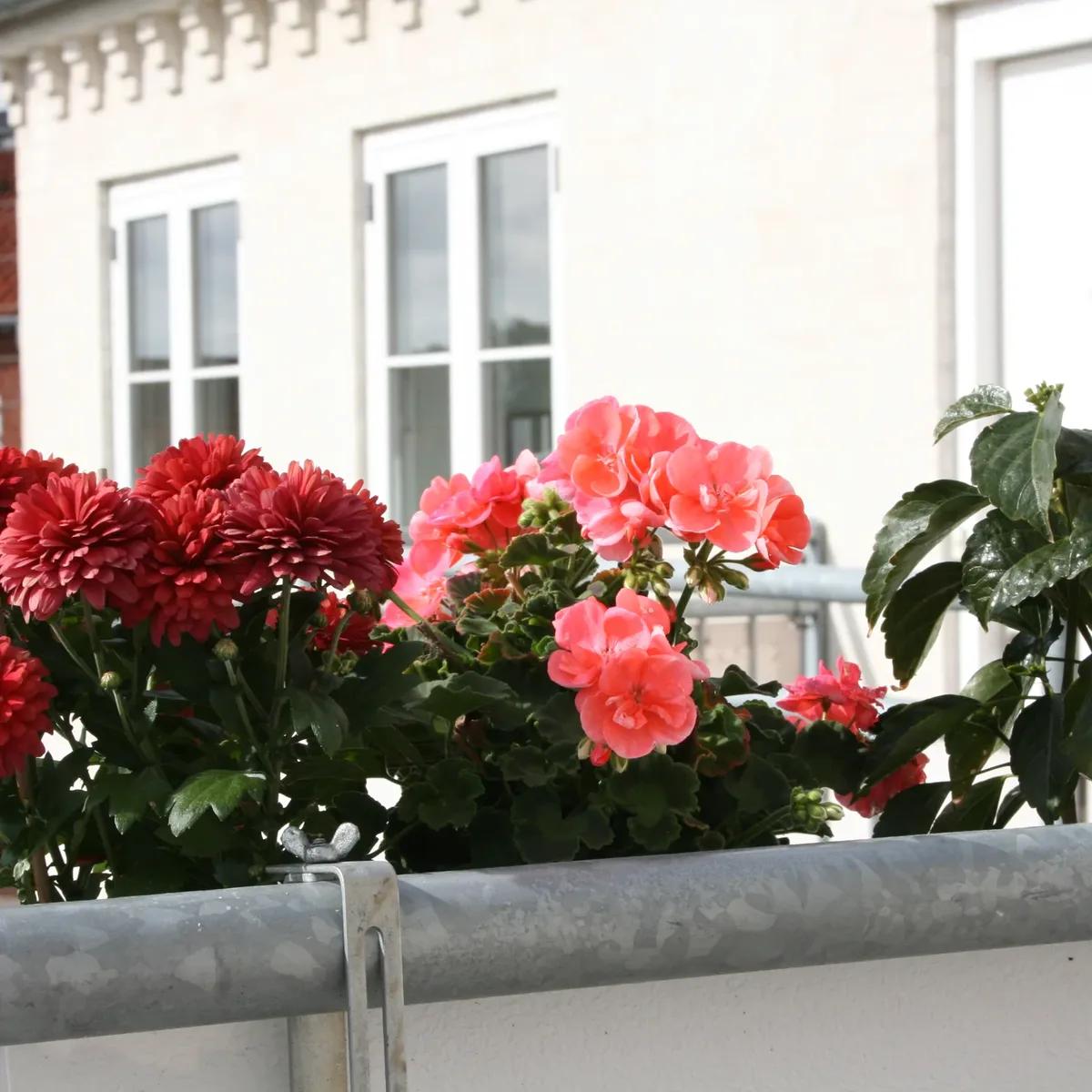 2-room apartment, 87 m² - Neksø
