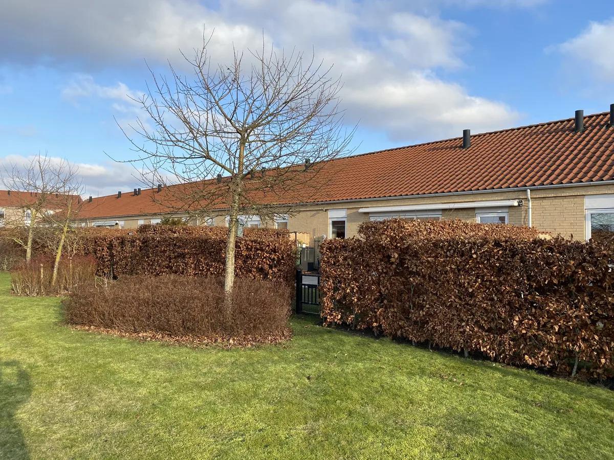 3-vær. rækkehus på 100 m² - Greve
