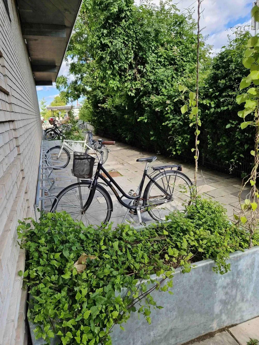 3-vær. lejlighed på 67 m² - Rødovre